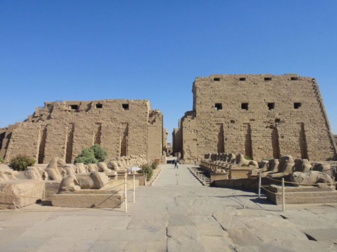 From Sharm: Full Day Tour in Cairo by Flight - Customer Feedback and Ratings