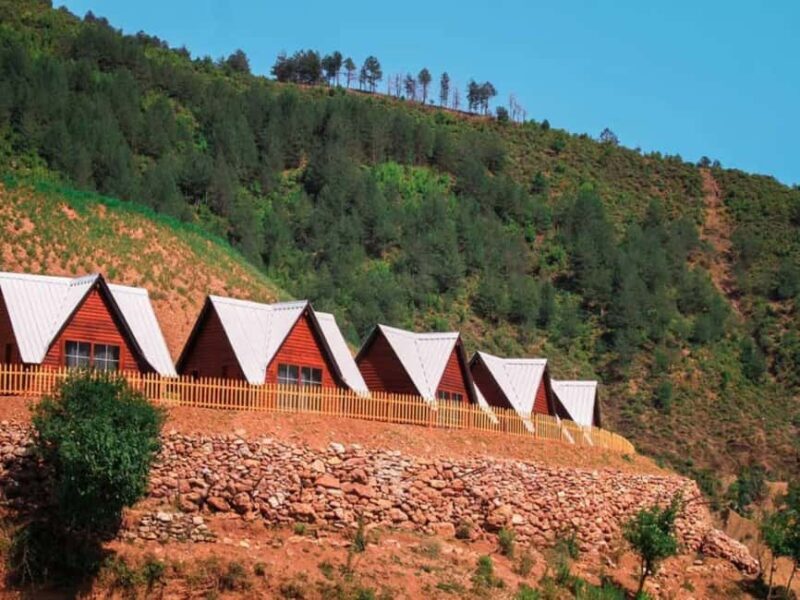 From Shkoder: Komani Lake Day Tour with Traditional Lunch - Why the Experience Works