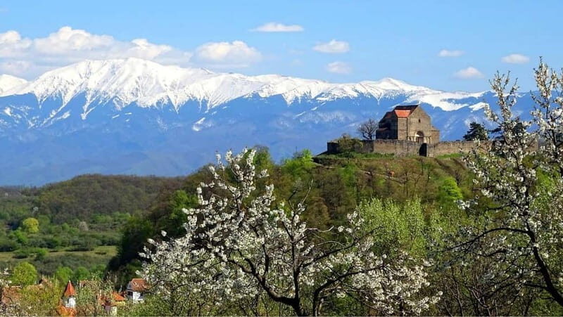 From Sibiu: Blue Line & City Tour Sighisoara - UNESCO - What’s Included and What’s Not