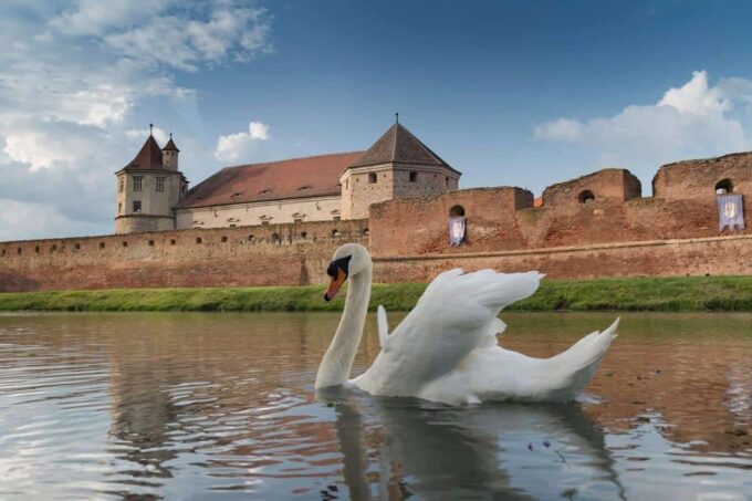 From Sibiu: Guided Tour Full of Surprises! - Booking Details