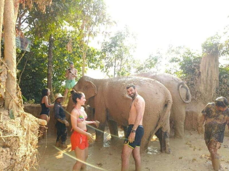 From Siem Reap: Elephant Sanctuary Experience with Transfers - Key Points