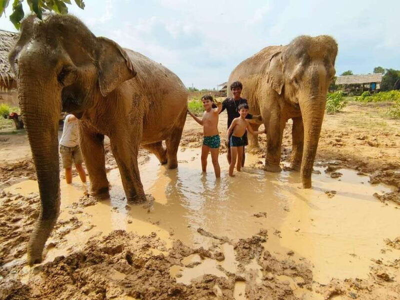 From Siem Reap: Elephant Sanctuary Experience with Transfers - Exploring the Elephant Sanctuary: What to Expect