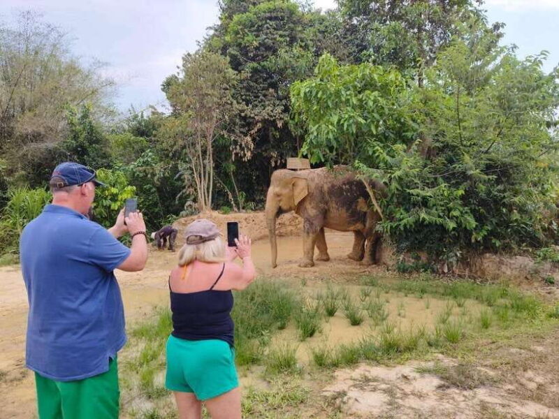From Siem Reap: Elephant Sanctuary Experience with Transfers - Authentic and Respectful Encounters