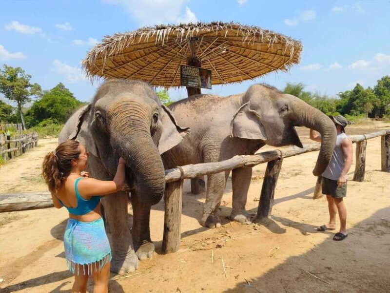 From Siem Reap: Elephant Sanctuary Experience with Transfers - The Sum Up: Why Choose This Elephant Sanctuary Tour?