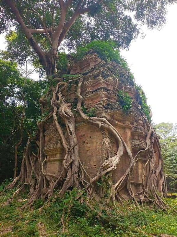 From Siem Reap: Sambor Prei Kuk and Kompong Kdei Day Trip - An In-Depth Look at the Tour Experience