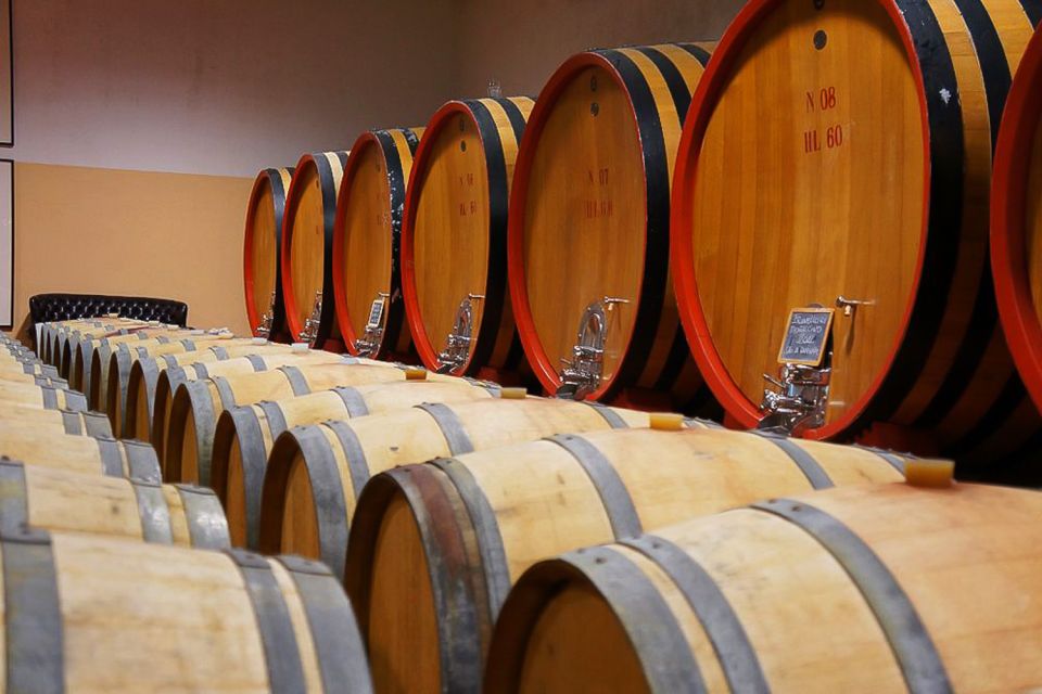 From Siena: Brunello Di Montalcino Guided Wine Tour W/ Lunch - Winery Visits and Tastings