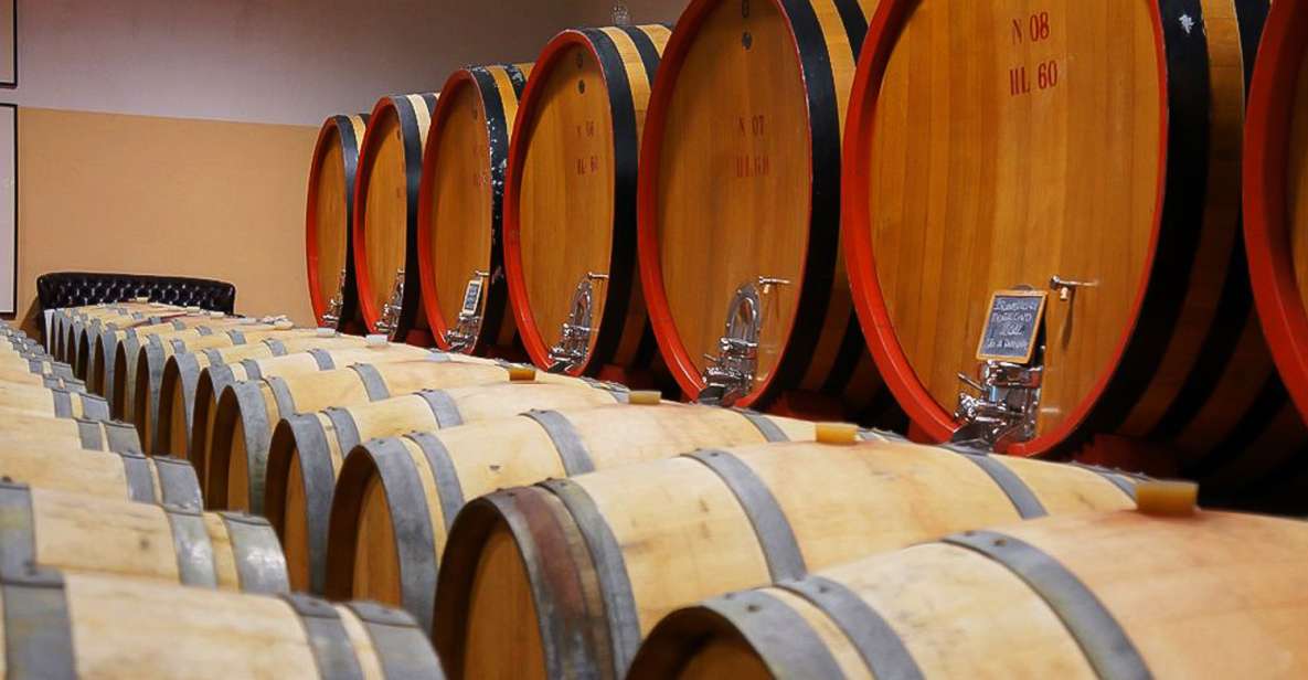 From Siena: Brunello Di Montalcino Guided Wine Tour W/ Lunch - Exploring Montalcino
