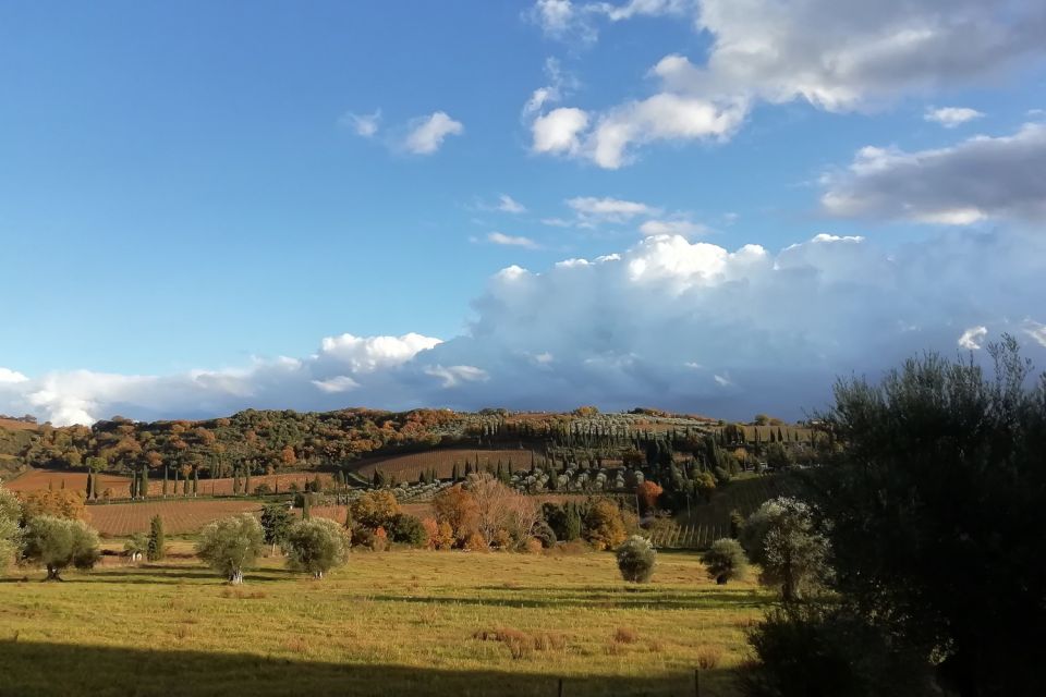 From Siena: Brunello Di Montalcino Guided Wine Tour W/ Lunch - Tuscan Lunch Experience