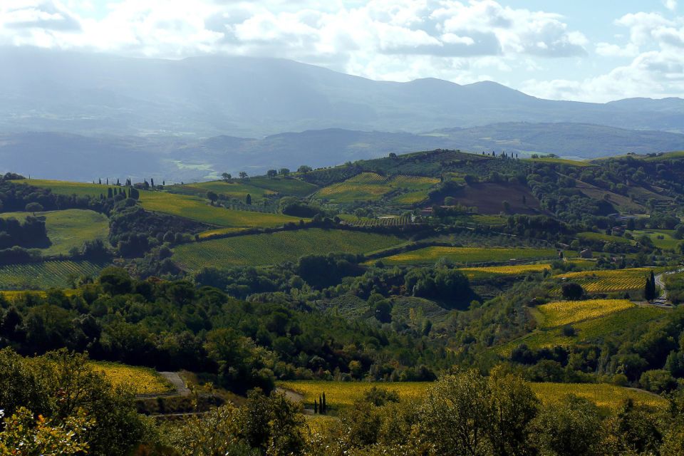 From Siena: Brunello Di Montalcino Guided Wine Tour W/ Lunch - Transportation and Meeting Point