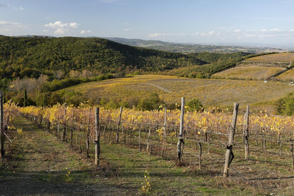 From Siena: Brunello Di Montalcino Guided Wine Tour W/ Lunch - Frequently Asked Questions