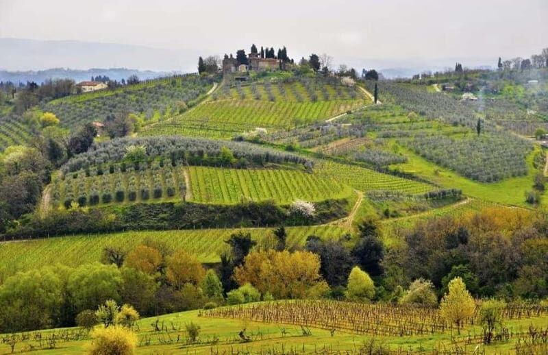 From Siena: Chianti and Castle Tour - Practical Aspects and Value