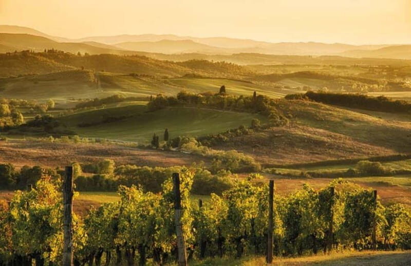 From Siena: Chianti and Castle Tour - FAQs