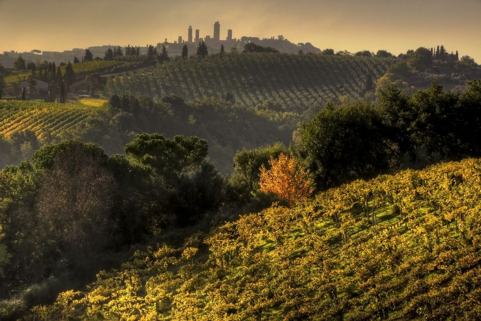 From Siena: Chianti and San Gimignano Sunset Tour - Explore Chianti Winery