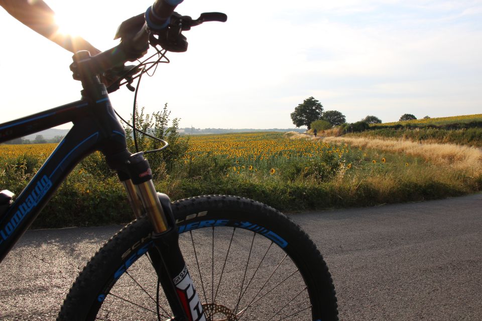 From Siena: Chianti Countryside E-Bike Tour W/ Lunch & Wine - Delightful Farm Lunch