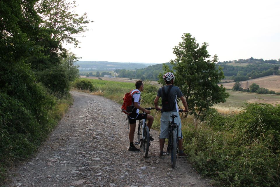 From Siena: Chianti Countryside E-Bike Tour W/ Lunch & Wine - Backroad Route Exploration