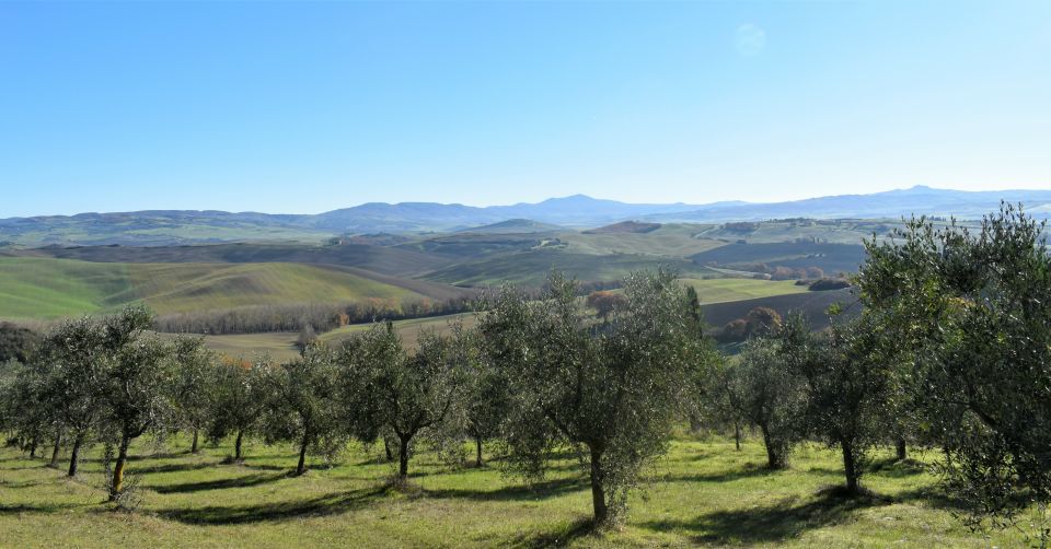 From Siena: Chianti Countryside E-Bike Tour W/ Lunch & Wine - Important Tour Details