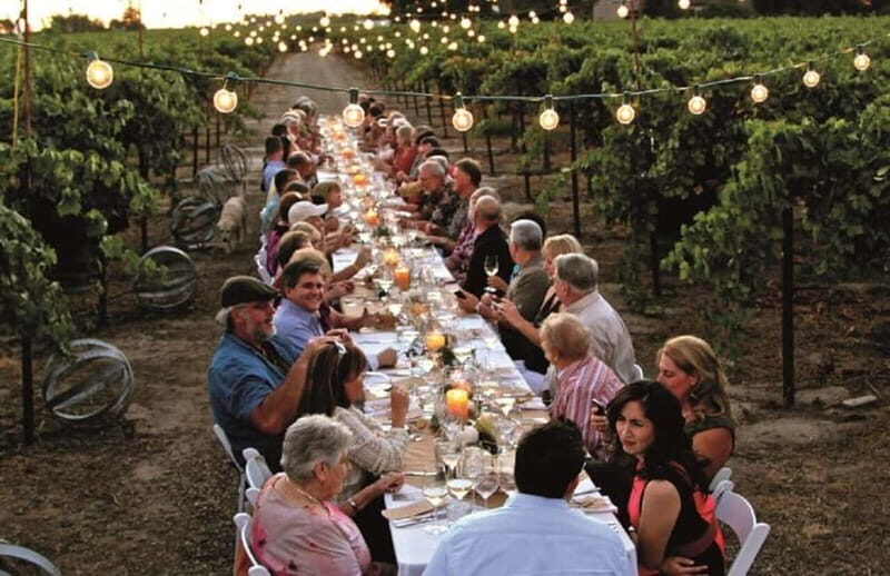 From Siena/Chianti: Dinner & Drinks in the Chianti Vineyards - An In-Depth Look at the Experience