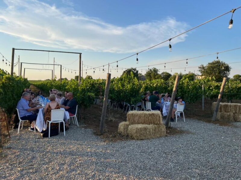 From Siena/Chianti: Dinner & Drinks in the Chianti Vineyards - Who Should Consider This Tour?