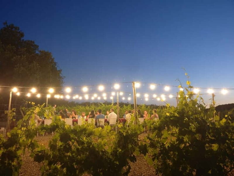 From Siena/Chianti: Dinner & Drinks in the Chianti Vineyards - The Sum Up