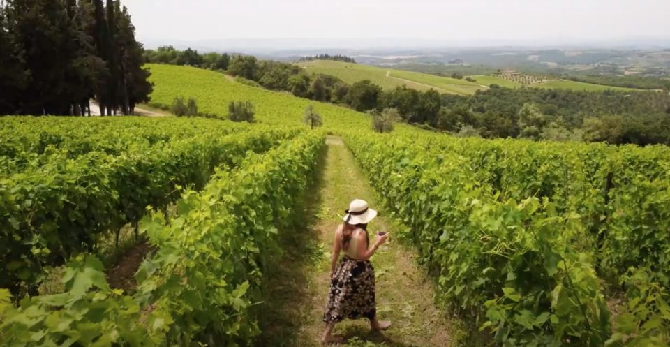 From Siena/Chianti: Dinner & Drinks in the Chianti Vineyards - Farm and Vineyard Visit