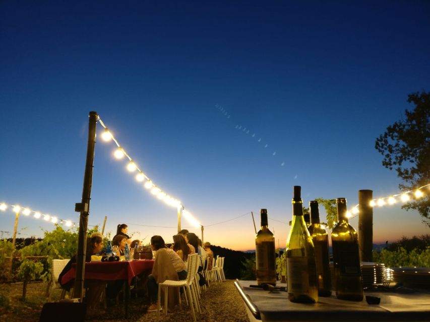 From Siena/Chianti: Dinner & Drinks in the Chianti Vineyards - Four-Course Dinner