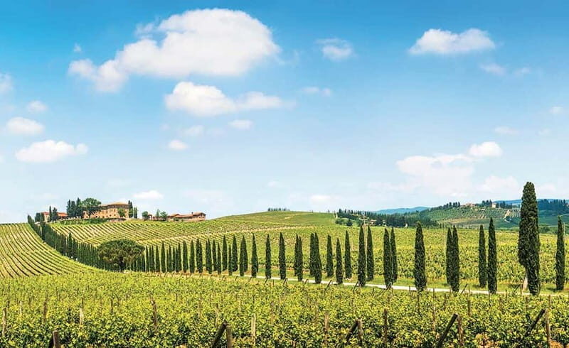 From Siena: Chianti Electric Bike Tour - Exploring the Itinerary: What to Expect from the Tour