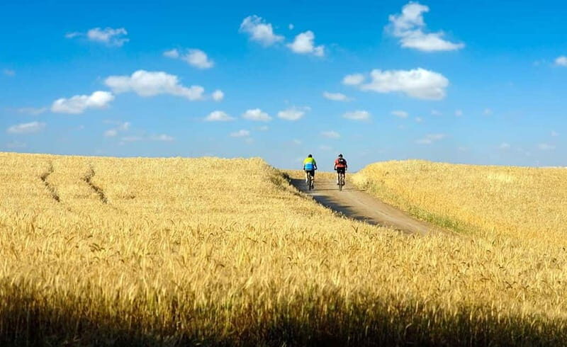 From Siena: Chianti Electric Bike Tour - The Value of the Tour: Is It Worth It?