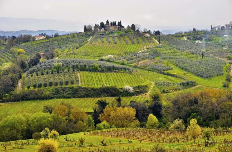 From Siena: Chianti Electric Bike Tour - Practical Tips for Your Day Out