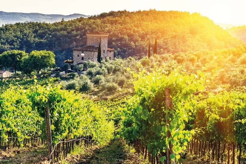 From Siena: Chianti Electric Bike Tour - The Sum Up