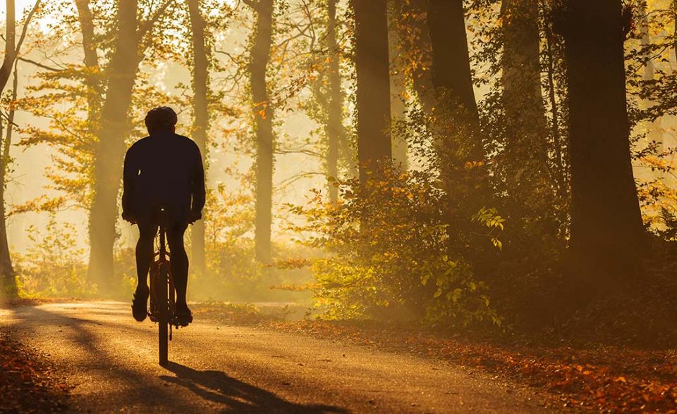 From Siena: Chianti Electric Bike Tour - Inclusions