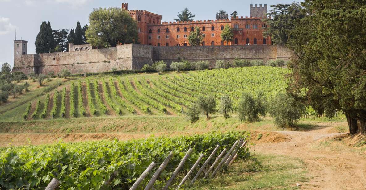 From Siena: Chianti Wine Tour With Lunch - Key Points