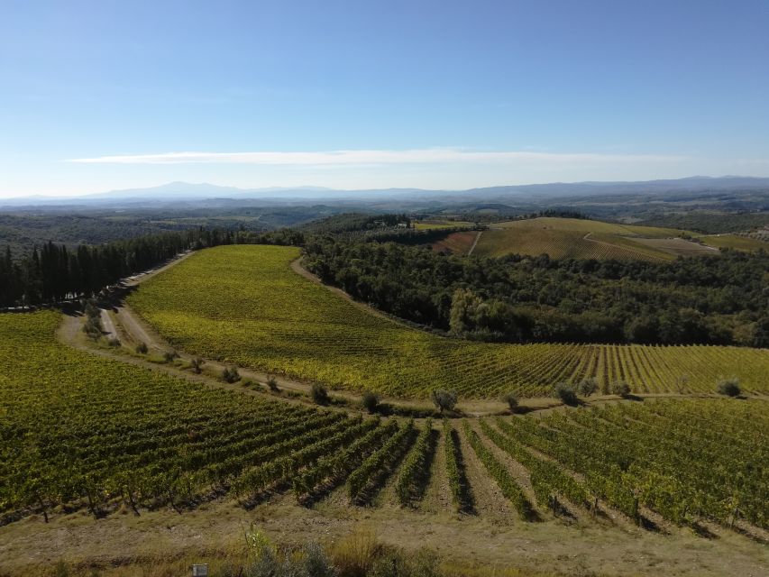 From Siena: Chianti Wine Tour With Lunch - Savor Tuscan Culinary Delights