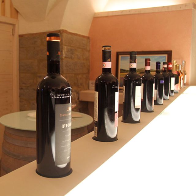 From Siena: Chianti Wine Tour With Lunch - Immerse in Winemaking Experience