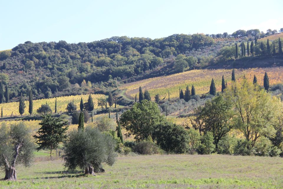 From Siena: Chianti Wine Tour With Lunch - Frequently Asked Questions