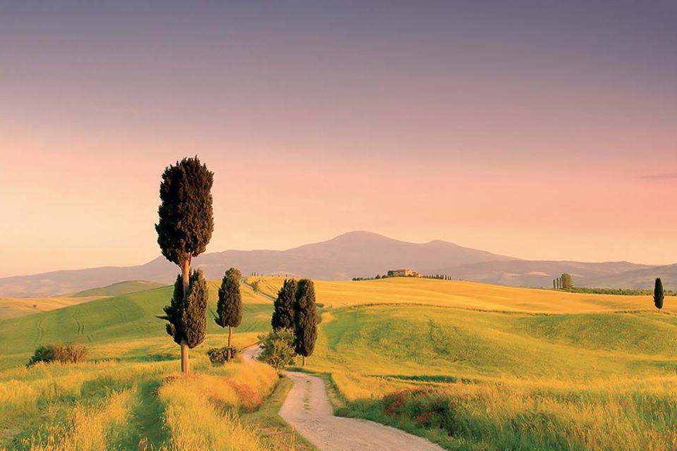 From Siena: Montepulciano & Pienza Wine Tour - Wine Tasting Experience