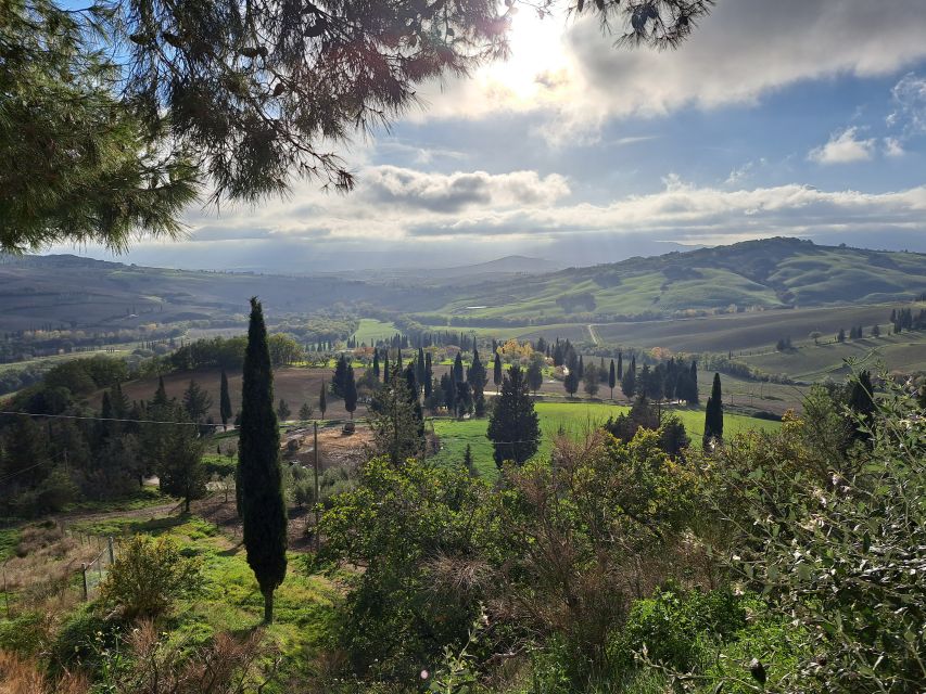 From Siena: Pienza and Montepulciano Small-Group Tour - Key Points