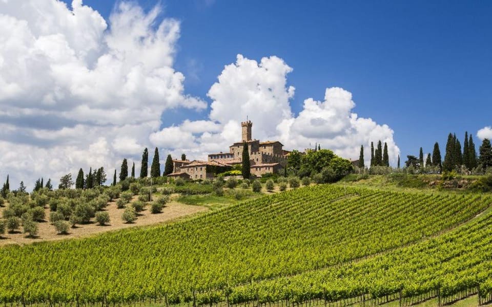 From Siena: San Gimignano, Chianti, and Montalcino Day Trip - Exploring Tuscany’s Finest in One Day