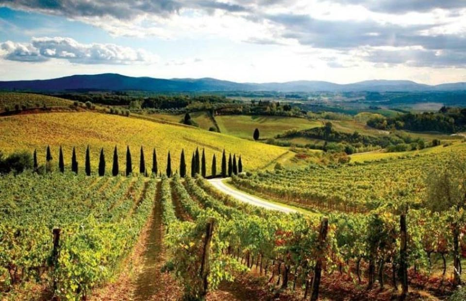From Siena: San Gimignano, Chianti, and Montalcino Day Trip - Final Thoughts
