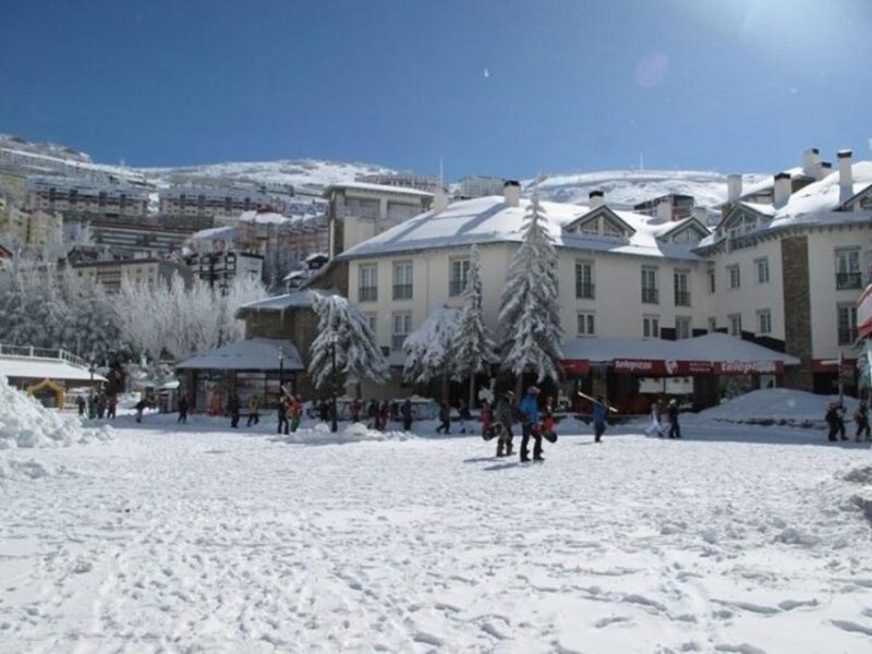 From Sierra Nevada ; Private Transfer to Granada City - Flora and Fauna