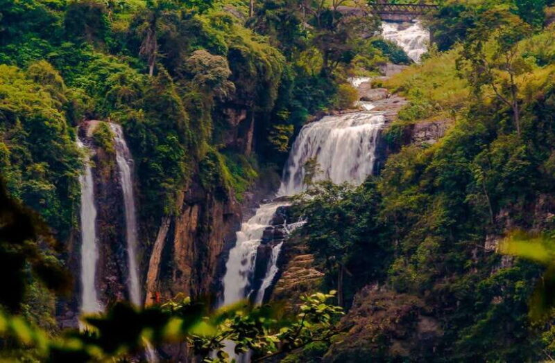 From Sigiriya: 6-Day Sri Lanka Tour with Yala Safari - Who Will Enjoy This Tour?