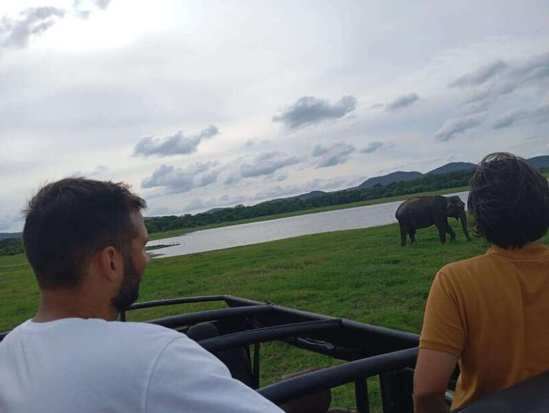From Sigiriya: Minneriya National Park Half-Day Jeep Safari - Final Thoughts: Is it Worth It?