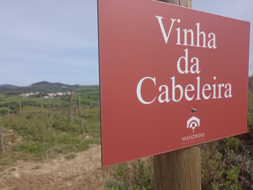 From Sintra, Mafra, or Ericeira: Hike and Wine Tour - FAQ