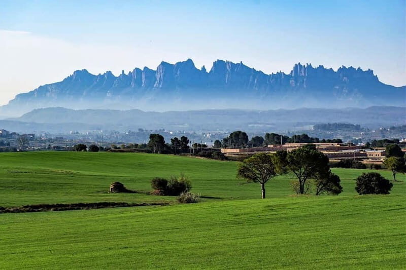 From Sitges: Montserrat, Lunch and Winery with Hotel Pick Up - The Sum Up