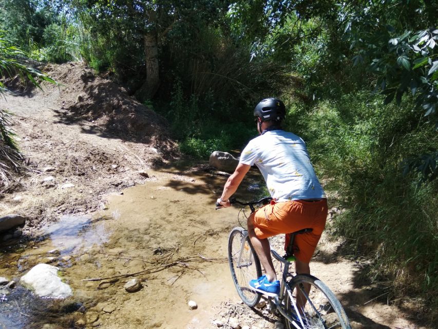 From Sitges: Paella Masterclass With Drink and Bike Ride - Winery Visit and Cava Tasting