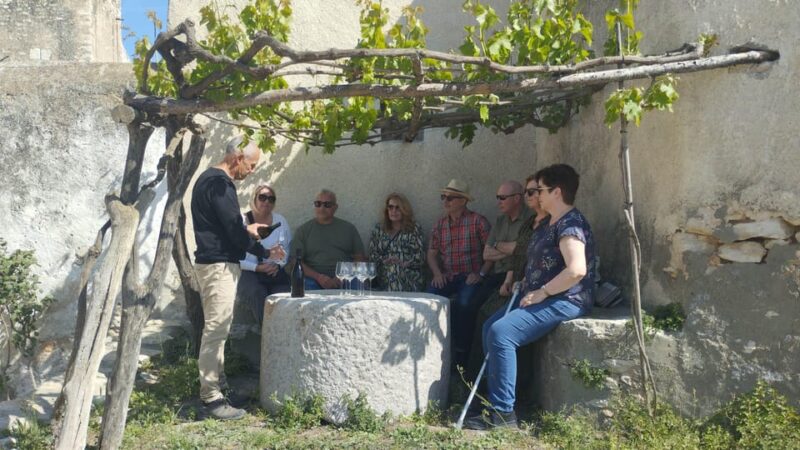 From Sitges: Wine Tasting at 2 Wineries, Snacks and Pickup - Key Points