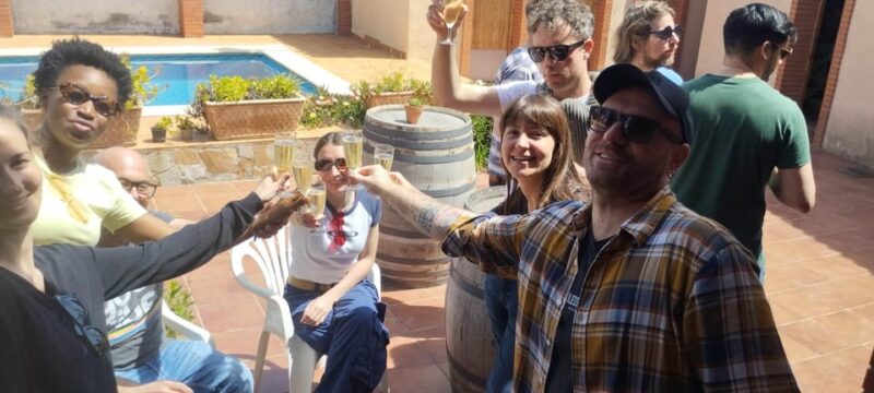 From Sitges: Wine Tasting at 2 Wineries, Snacks and Pickup - Wine Tasting Experience