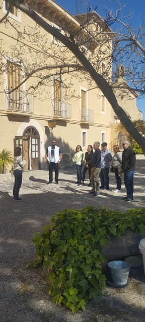 From Sitges: Wine Tasting at 2 Wineries, Snacks and Pickup - What to Expect