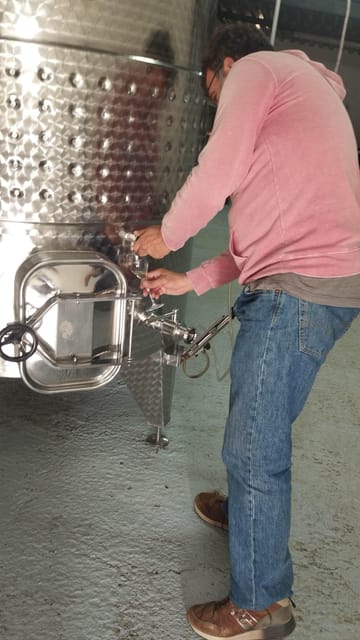 From Sitges: Wine Tasting at 2 Wineries, Snacks and Pickup - Frequently Asked Questions