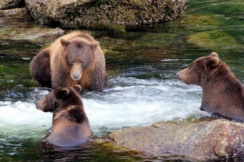 From Sitka: All inclusive Private Yacht Cruise of SE Alaska - Exploring Southeast Alaska on a Private Yacht