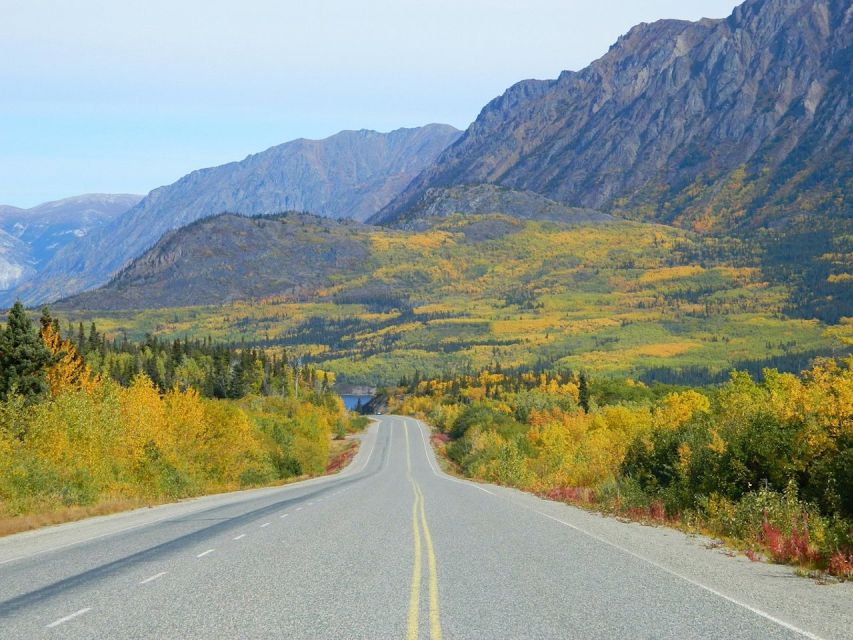 From Skagway: Skagway City & White Pass Summit Guided Tour - Scenic Stops Along the Klondike Highway
